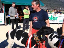 2019_ausstellung polling_581